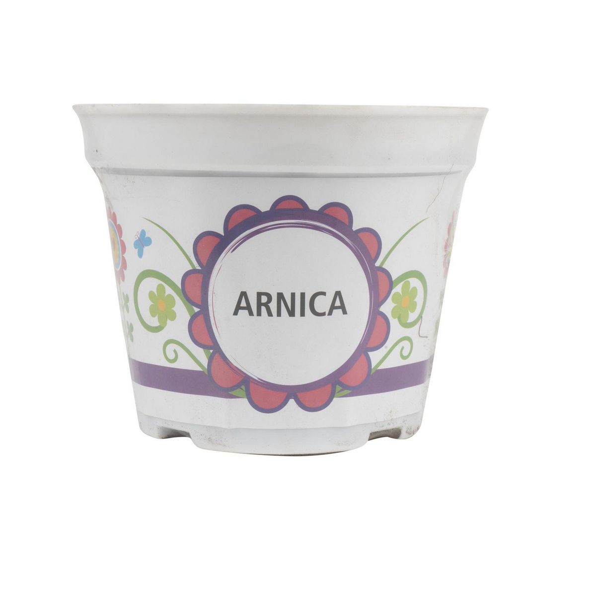 Ergo - Hierba tomillo/árnica