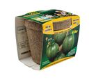 Kit de siembra calabaza redonda