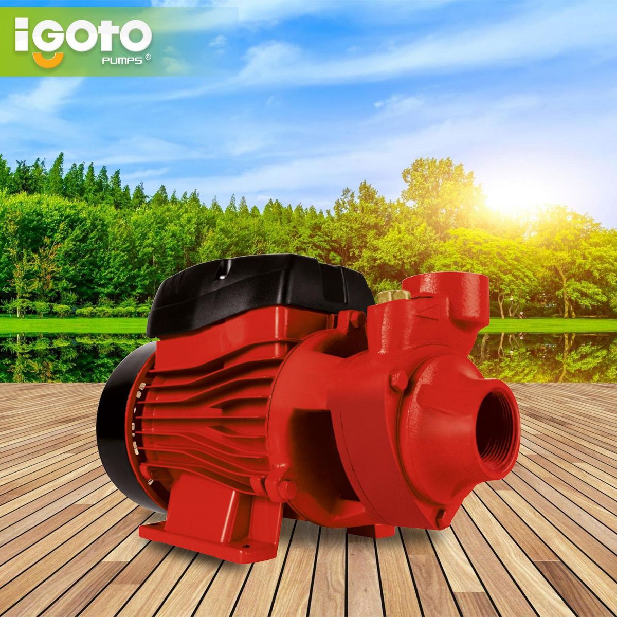 Igoto - Bomba Periférica Eléctrica 1/2 HP 28 l/min