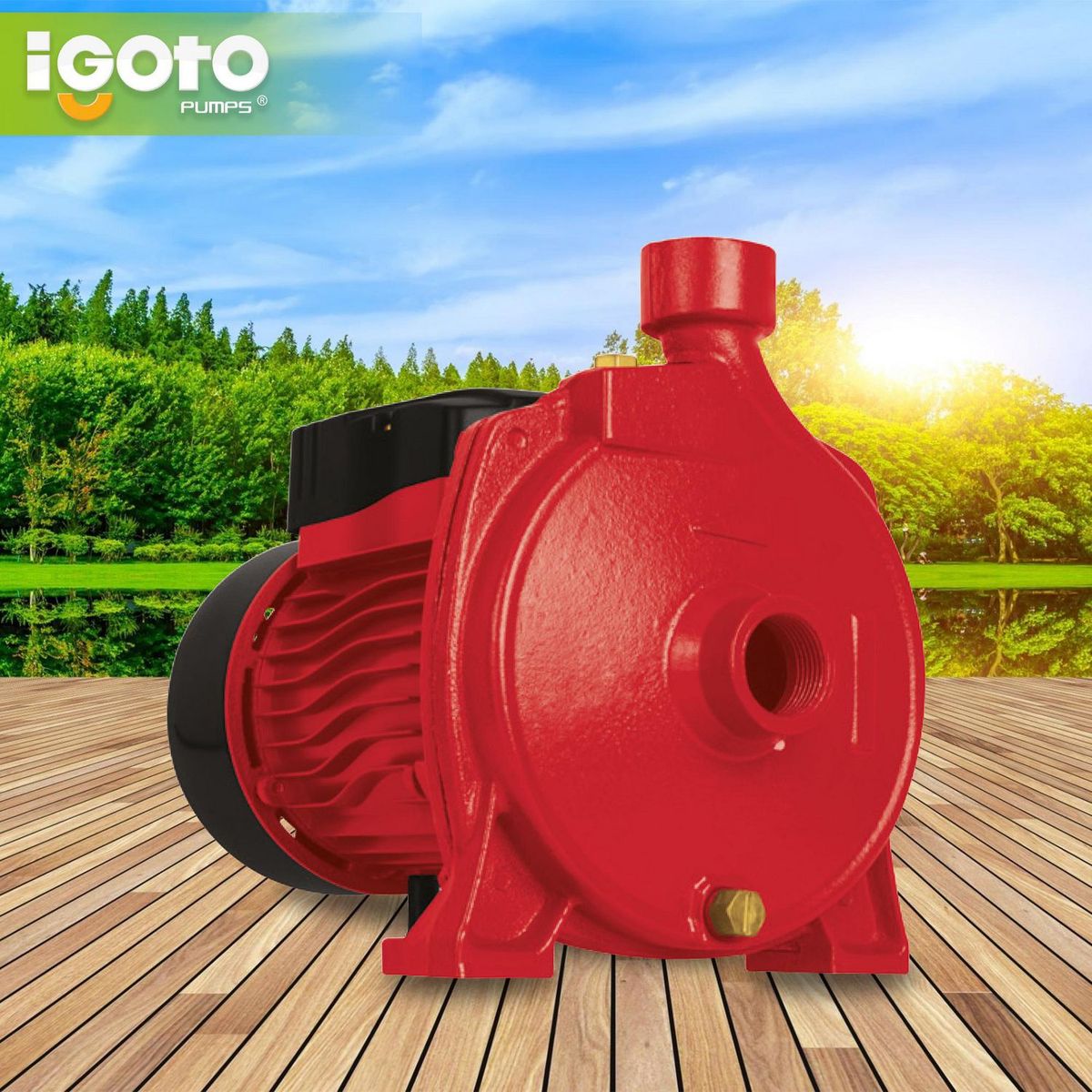 Bomba Centrífuga Eléctrica 1/2 HP 18 l/min, marca Igoto - Foto 2