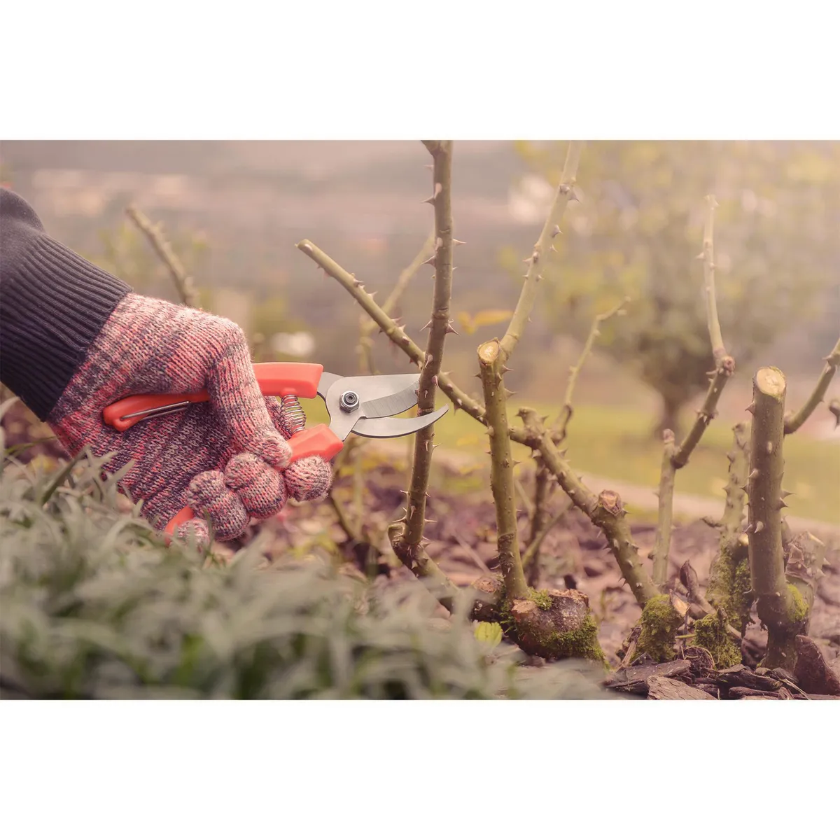 Tramontina - Tijera de podar a una mano