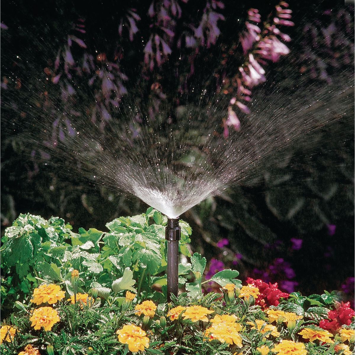 Aspersor arbusto ajustable 360°, marca Orbit - Foto 2