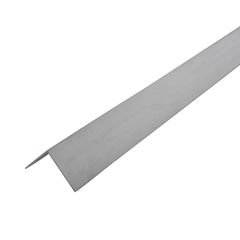 Ángulo 25 x 25 x 1 mm aluminio anodizado plata 1 m