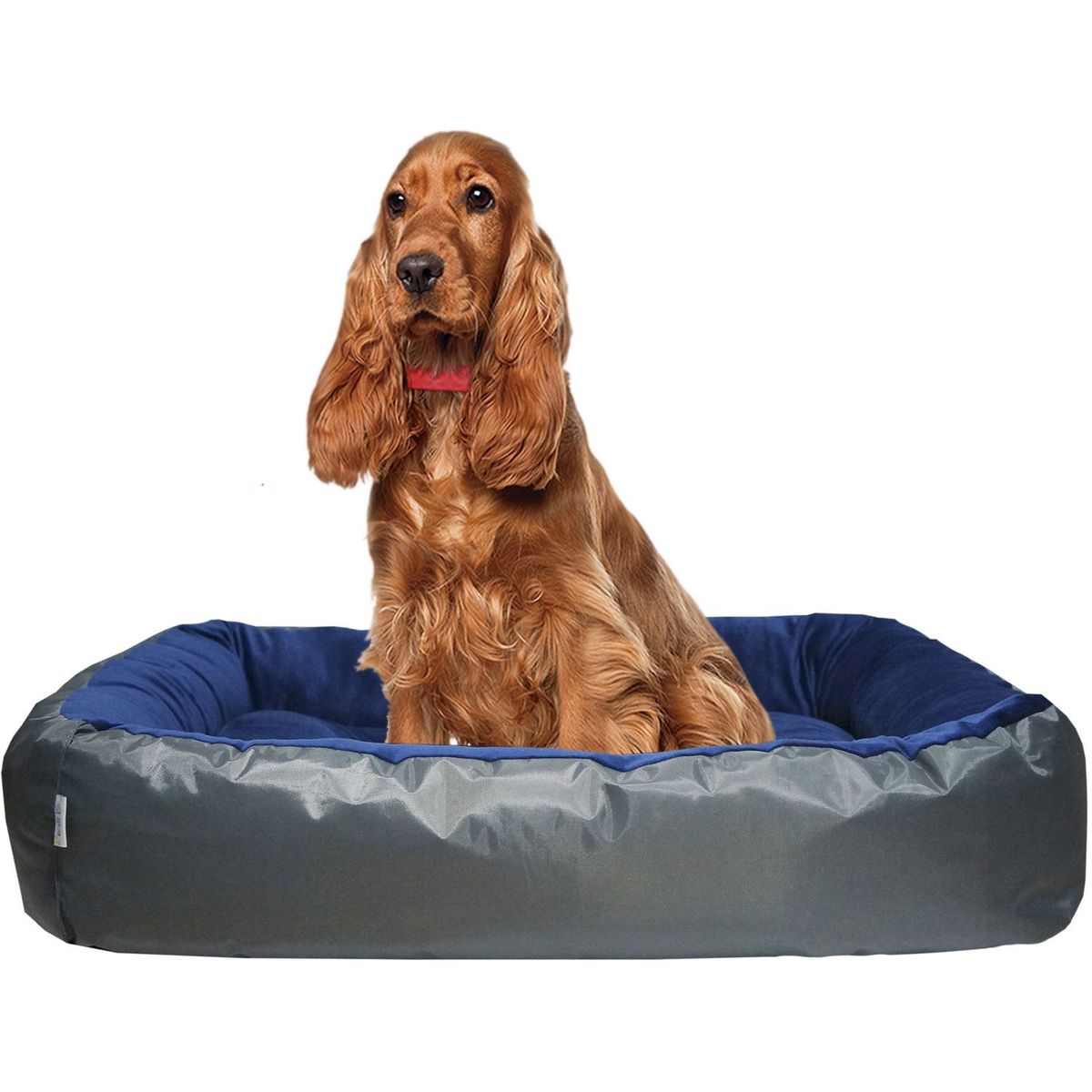 Pileso Pet - Cama cuna cojín desmontable 62 x 82 cm azul gris