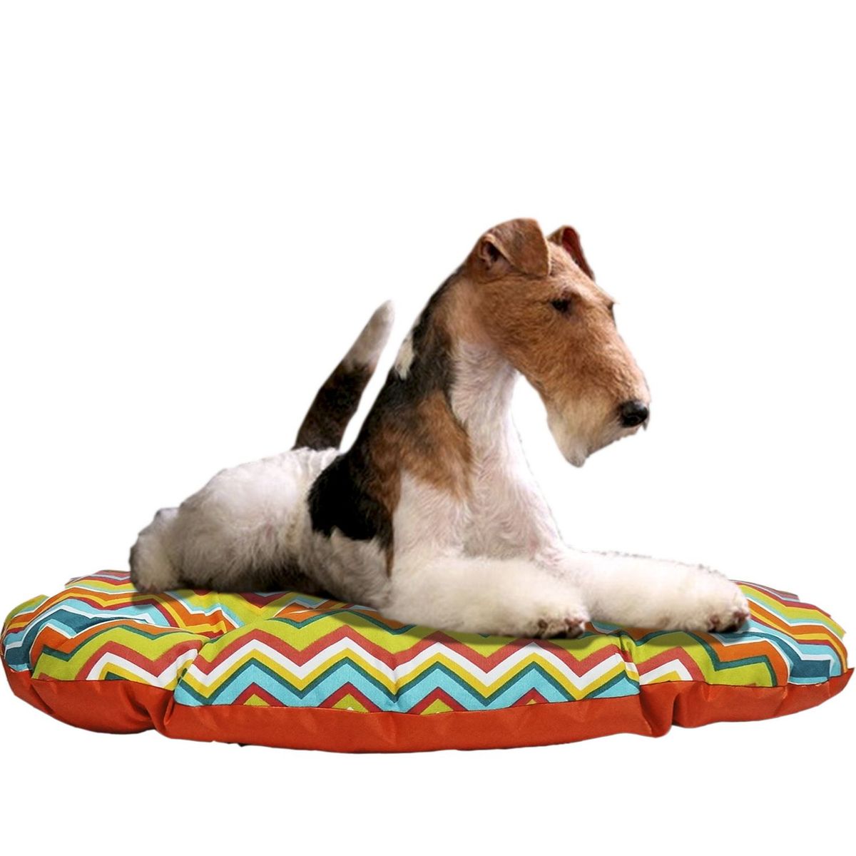 Pileso Pet - Cama ovalada diseño boton52 x 72 cm zigzag naranja