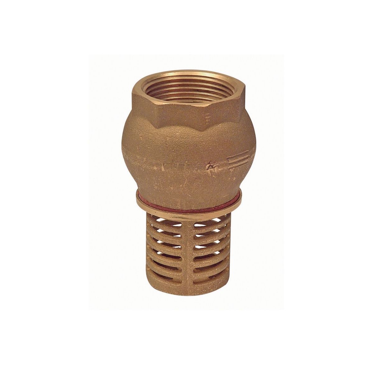 Urrea - Pichancha canastilla de bronce