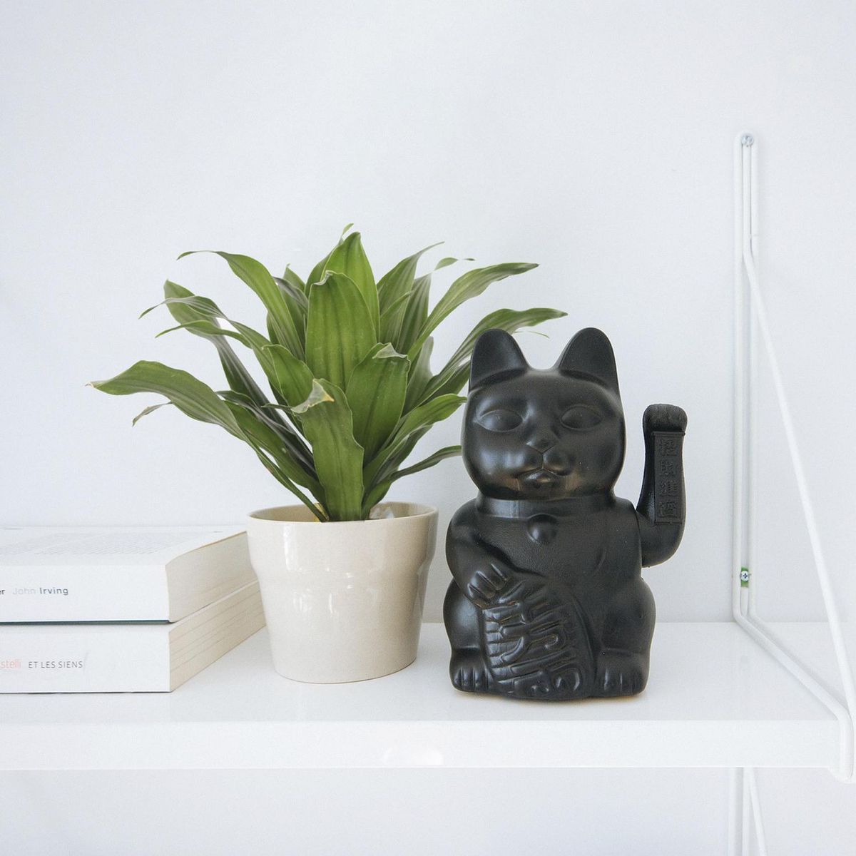 Planta dracena compacta, marca Conaplor - Foto 2