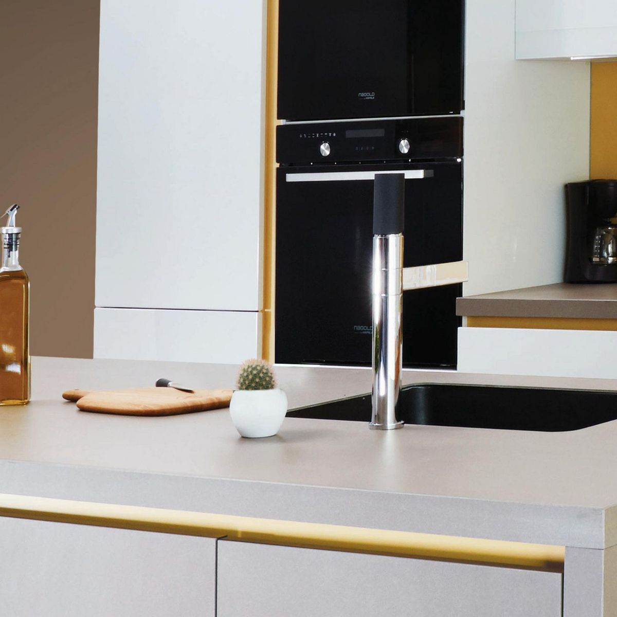 Conaplor - Plantas cactus mammilliaria hahniana