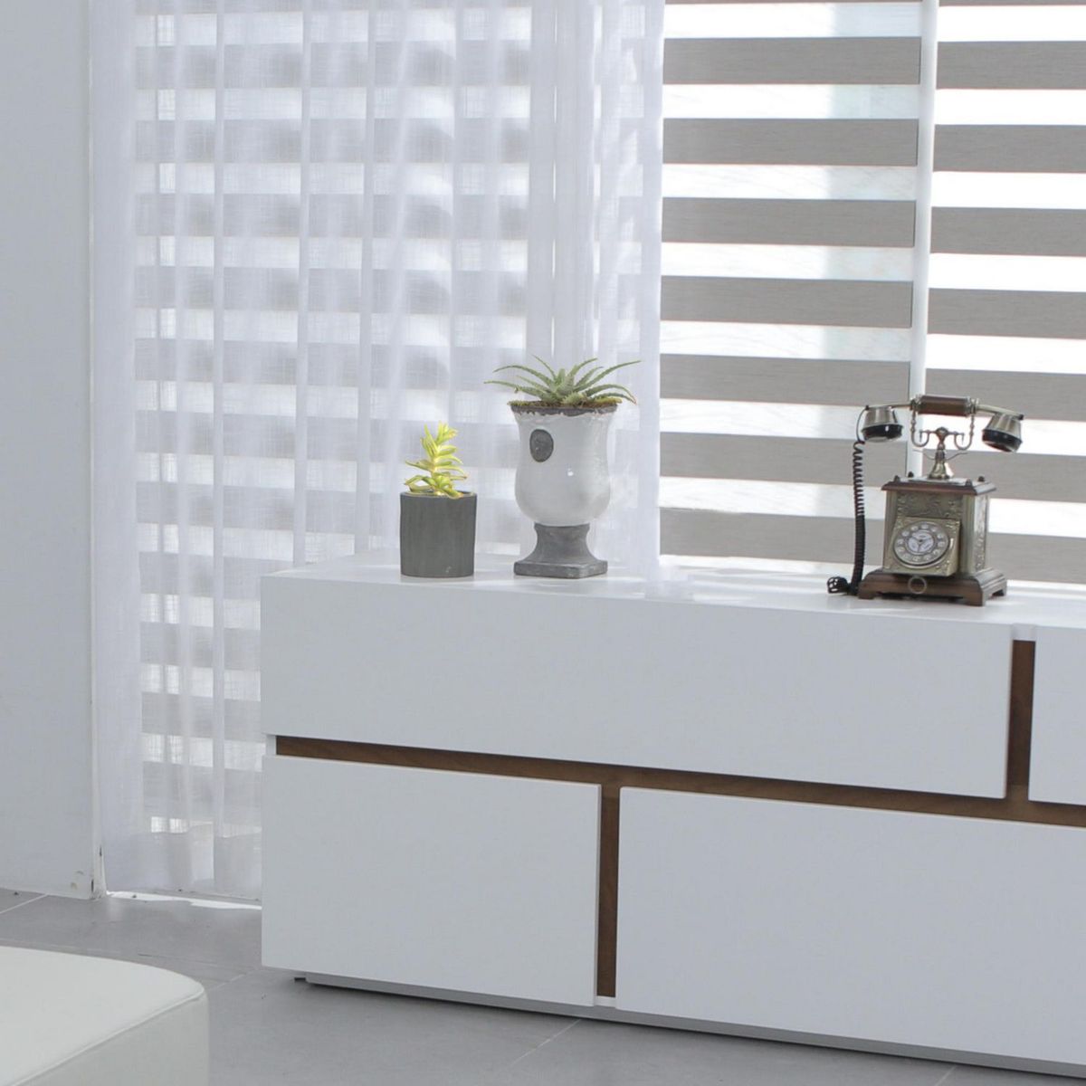 Conaplor - Planta sábila