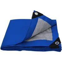 Lona polietileno 2 x 3 m azul