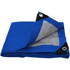 Lona polietileno 2 x 3 m azul