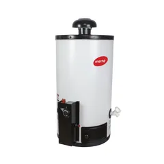 Calentador de Depósito Enerhit Gas LP 40 Litros