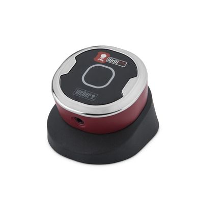 Term�metro iGRILL mini