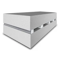 Panel yeso fv 1/2" xterium