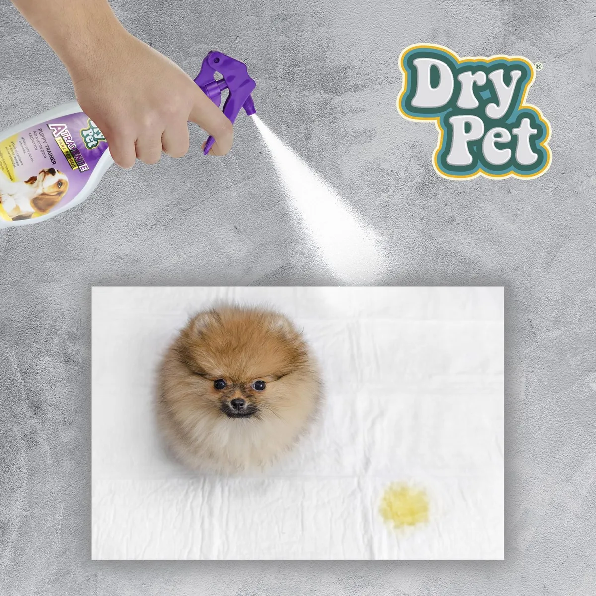 Fancy Pets - Atrayente para perros 250 ml