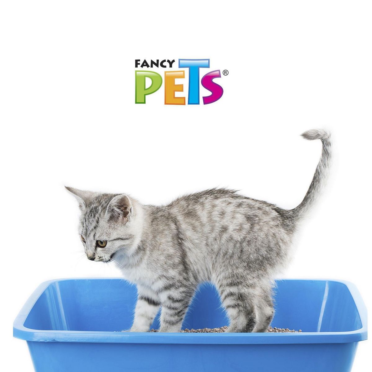 Arena para gatos 3 kg, marca Fancy Pets - Foto 2