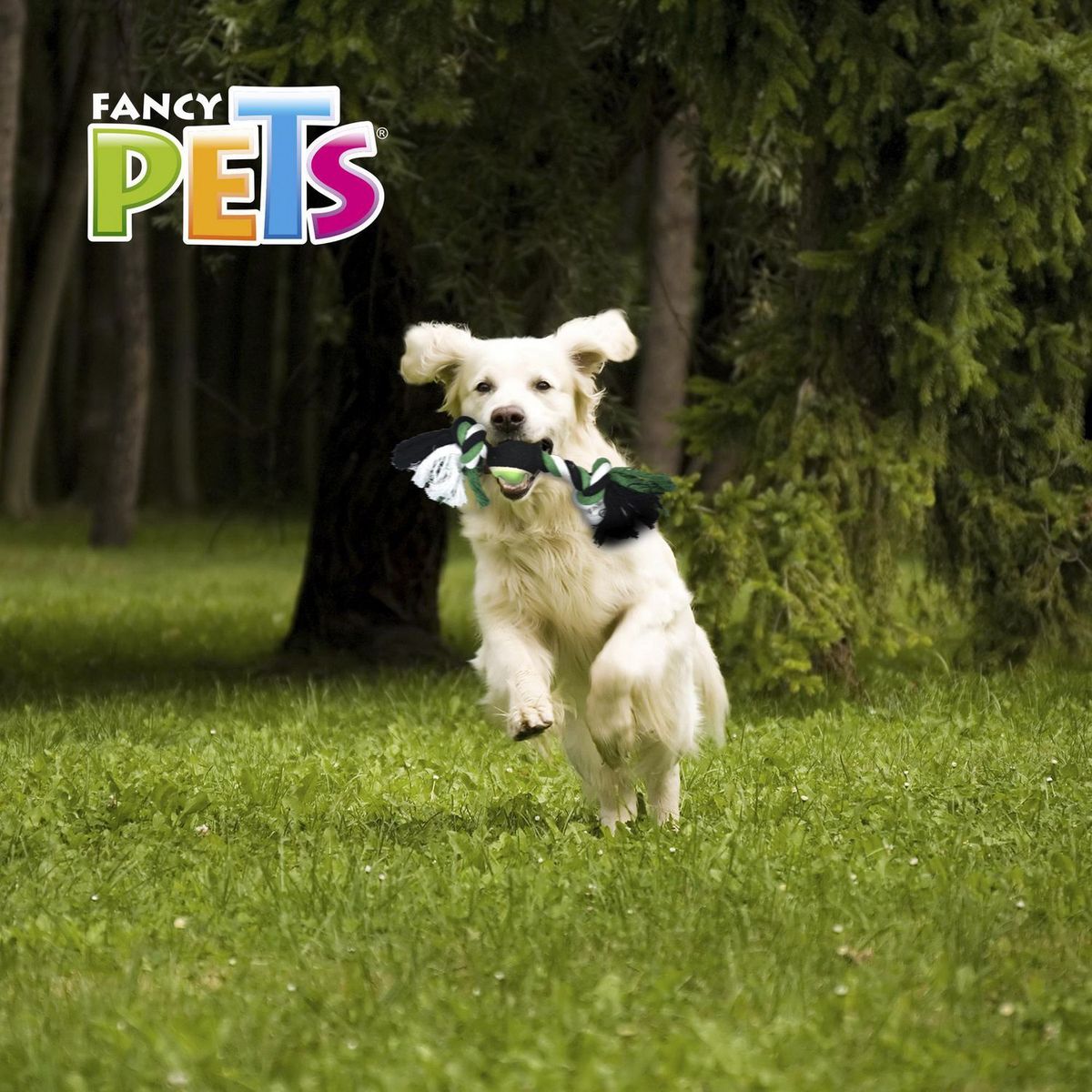 Fancy Pets - Hueso de Hilo con Bola 31 cm