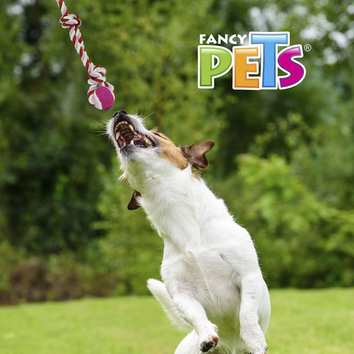 Nudo Doble Bola Tenis 45 cm, marca Fancy Pets - Foto 2