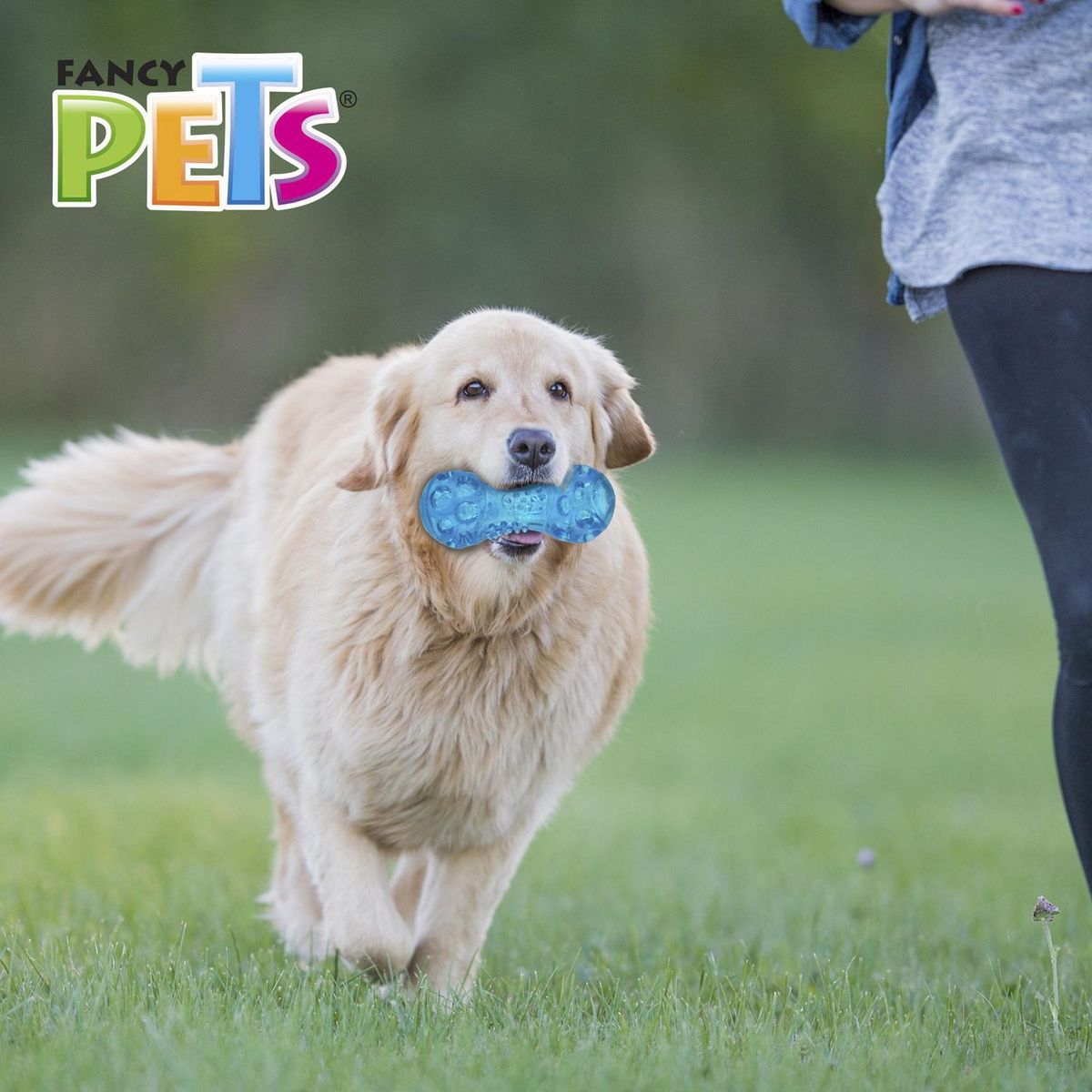 Fancy Pets - Juguete pesa flexible con sonido grande