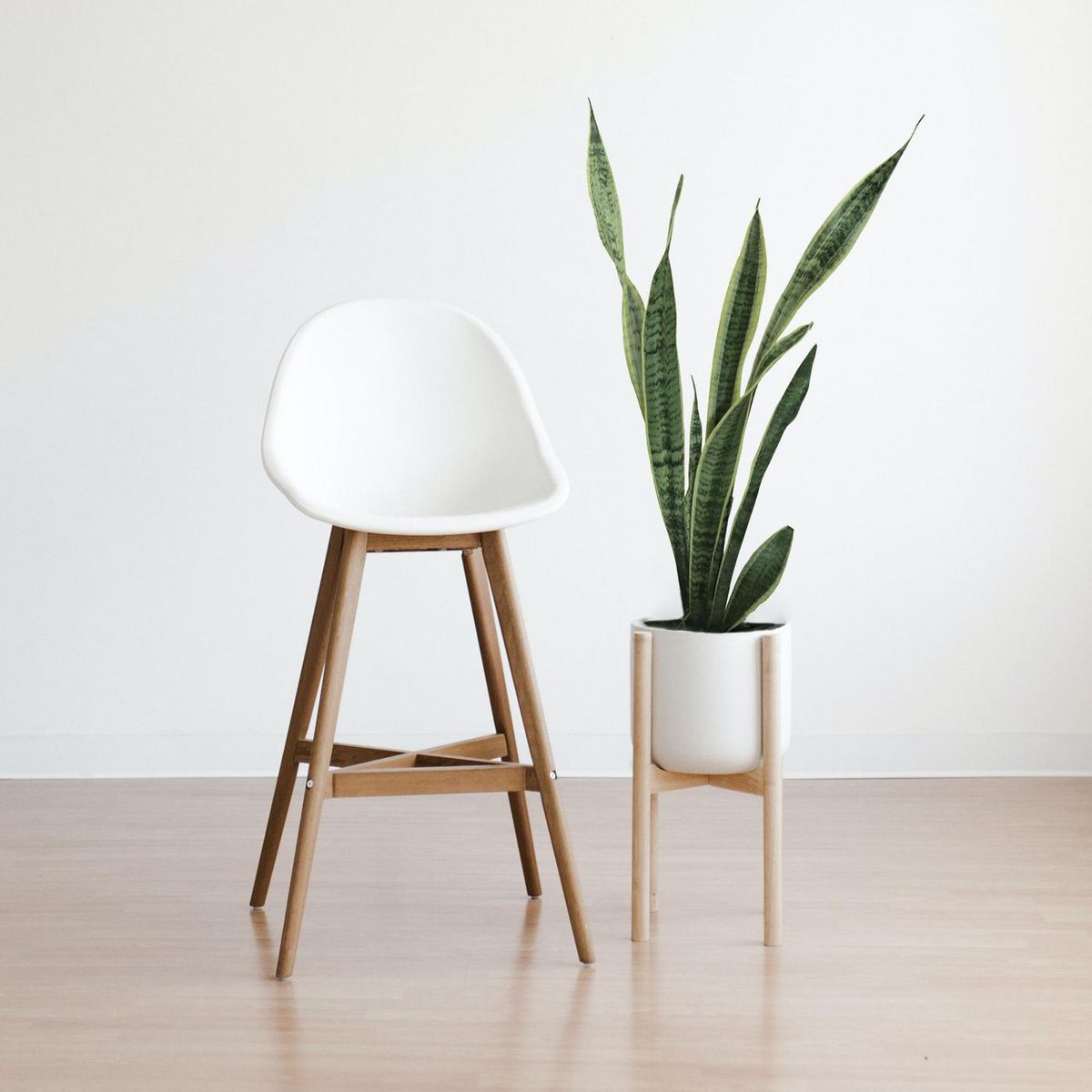 Planta sanciveria, marca Conaplor - Foto 2