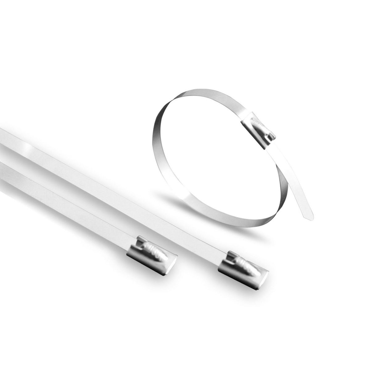 Thorsmex - Cinturón acero inoxidable 20 cms c/100 pzs