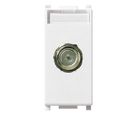Toma de conector hembra tipo F blanco
