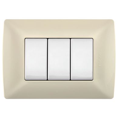 Placa de resina con chasis color Marfil 3 m�d.