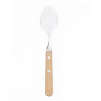 Cuchara postre Dynamic mango madera pza