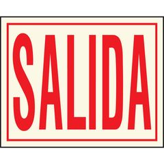Senal Fotoluminicente Salida 20x25