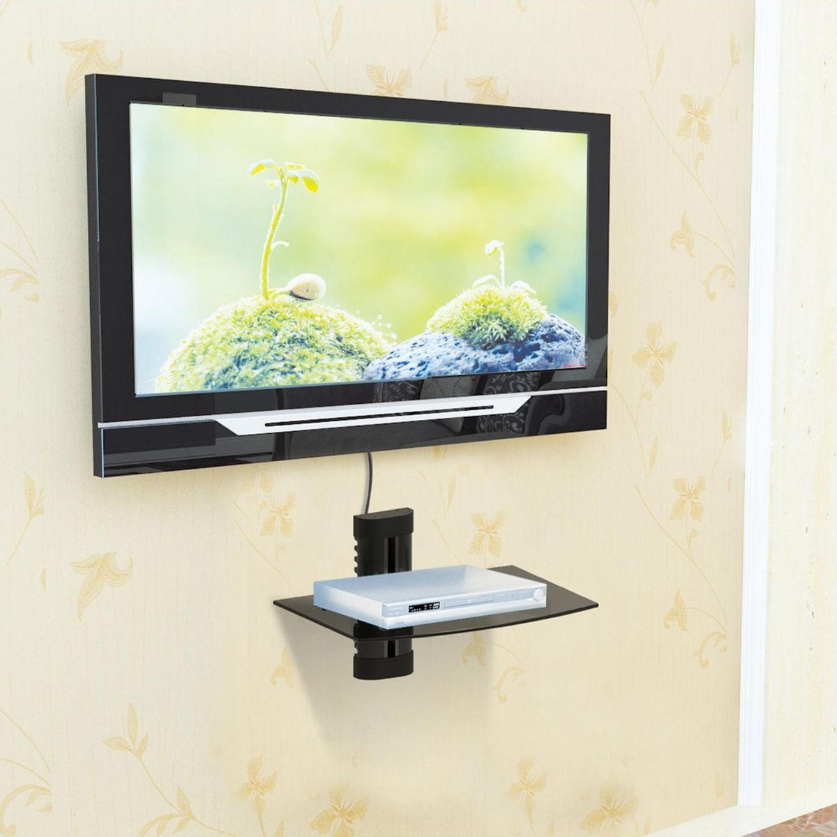 Dairu - Soporte para DVD base de plástico y base de cristal 5mm