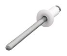 Remache blanco 54B 5/32"x1/4" (bolsa con 100 pzs)