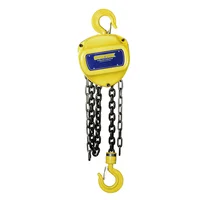 Polipasto Industrial 1 Tonelada con Cadena 6 Metros Surtek