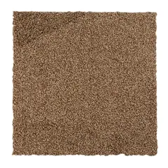 Alfombra Milk Cookies 45.7x45.7 cm