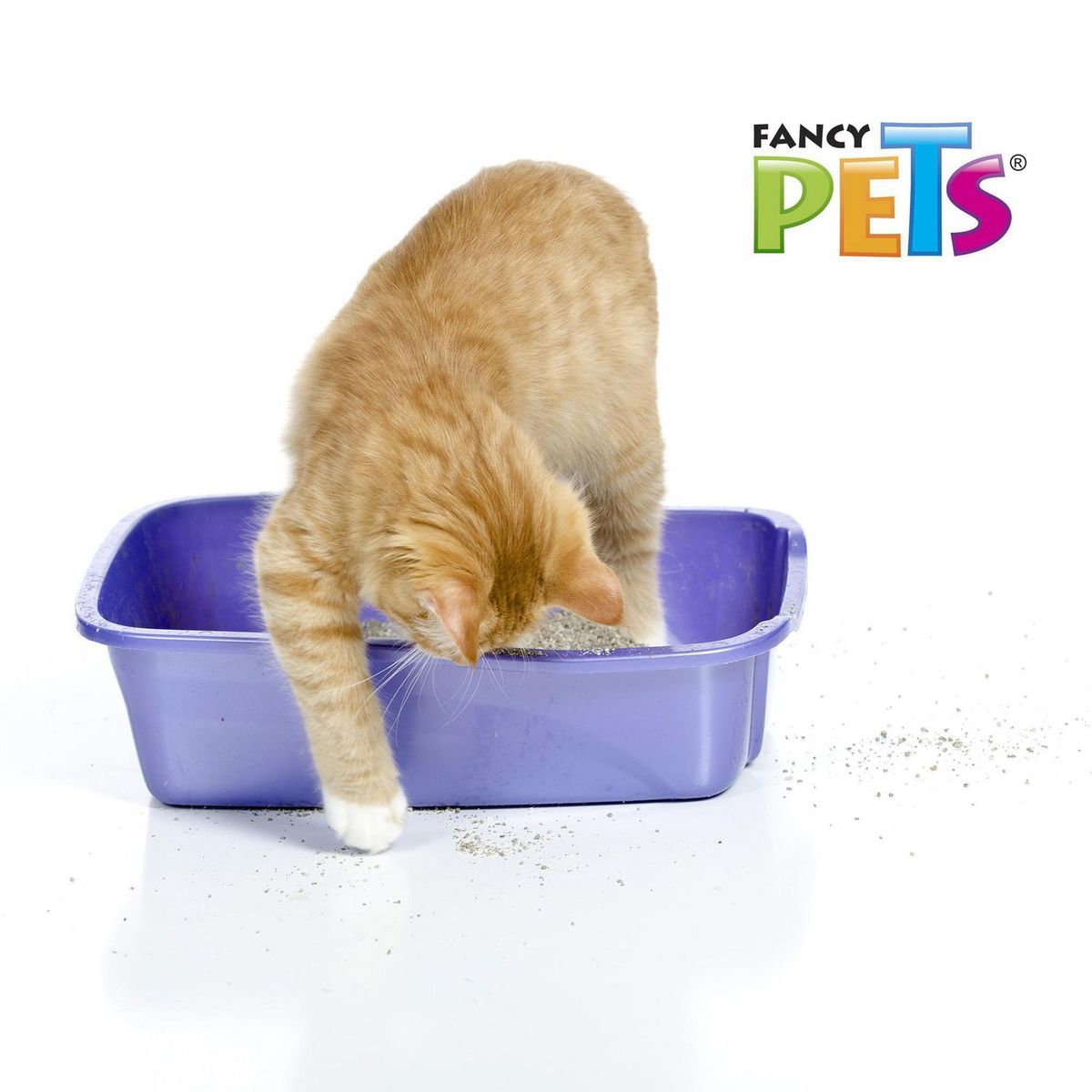 Fancy Pets - Arena para gato garrafa 10 kilos