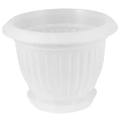 Maceta con Plato para Orquedeas Clásico 2 Litros Transparente
