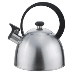 Tetera de acero inoxidable 2.5 l