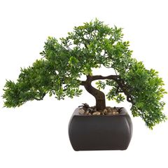 Bonsái 23 cm Hoja Boj
