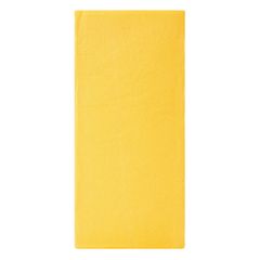 Paño Sintetico Pva 43 X 32 Cm Autostyle.