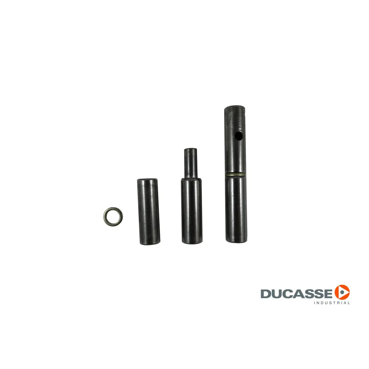 Ducasse - Par de bis pomel par 1/2 x 80