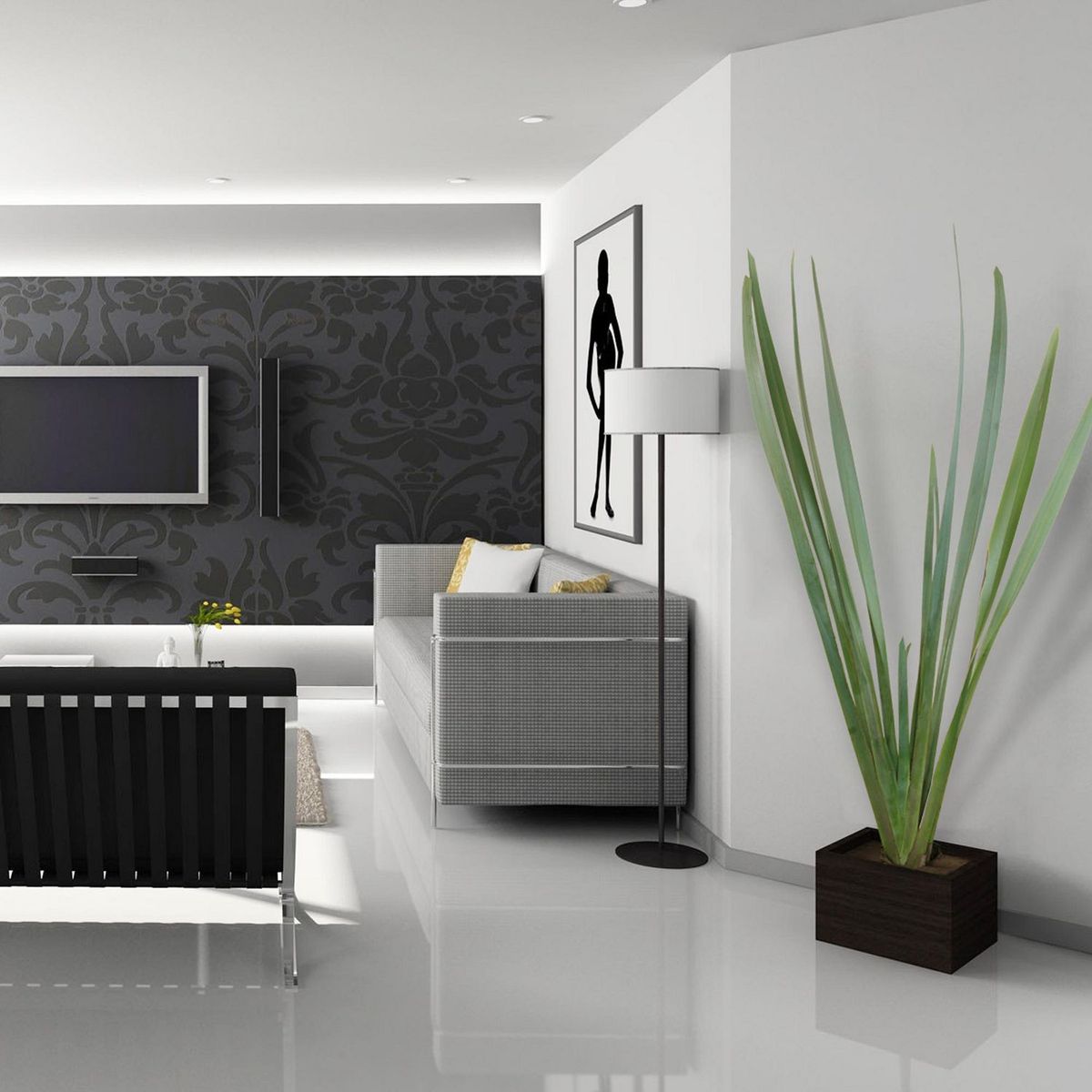 Conaplor - Planta forneo verde b06