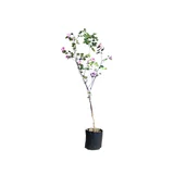 Planta arbol de orquidea b30l