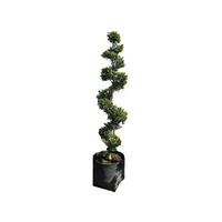 Planta eugenia figuras b40l