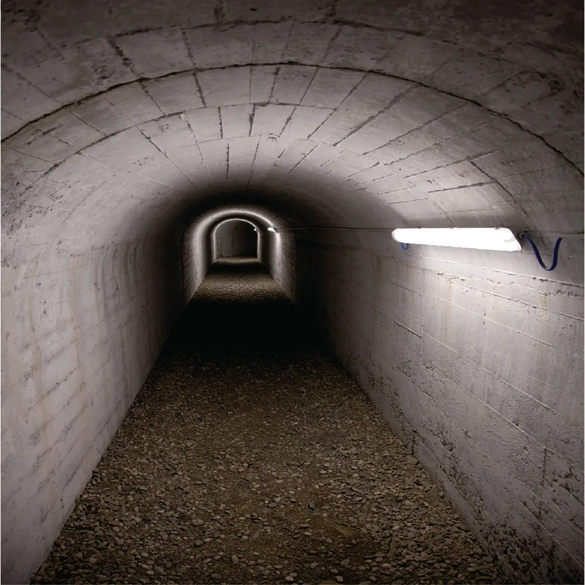 Luminario 90 Led de Emergencia, marca Tecnolite - Foto 2