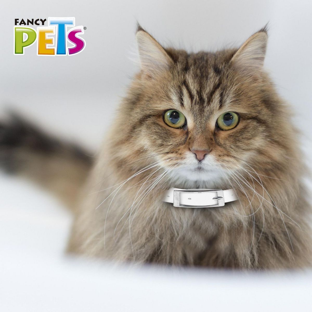 Fancy Pets - Collar antipulgas para gato