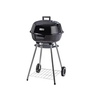 Asador de Carbón 45 cm.