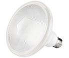 Foco Led Par38 E27 20W Luz Fria Ip65