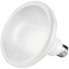 Foco Led Par38 E27 20W Luz Fria Ip65