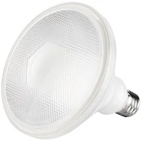 Foco Led Par38 E27 20W Luz Calida Ip65