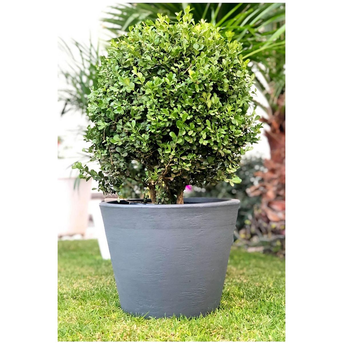 New Garden - Maceta Petunia gris 36x36x28 cm