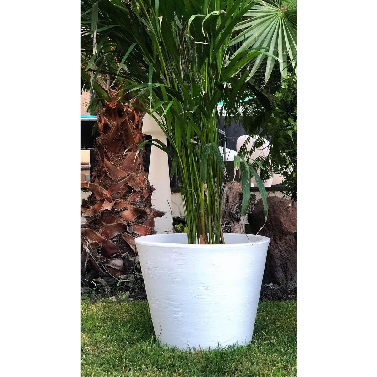 New Garden - Maceta Petunia blanca 36x36x28 cm